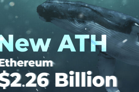 $2.26 Billion in Ether Moved by Whales as Ethereum Miner Balances Hit New All-Time High