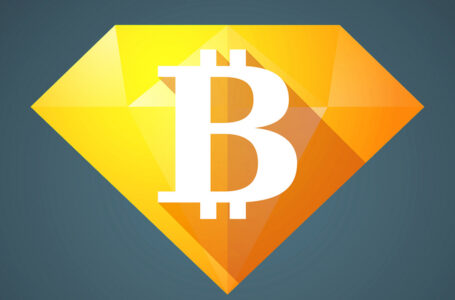 Bitcoin (BTC) “Diamond Hands” Control Largest Share of Sovereign BTC Supply in History