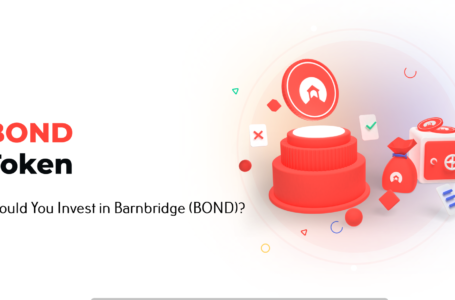 Should You Invest in Barnbridge (BOND)?