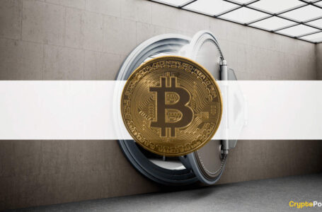 Bullish? Bitcoin Long-Term Holder Supply Shock Ratio Goes to New Highs
