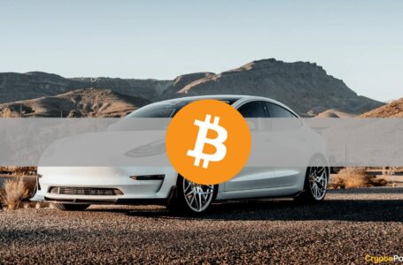Tesla May Start Accepting Bitcoin Payments Again