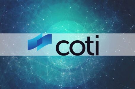 Coti (COTI) Review: A Decentralized Payment Protocol
