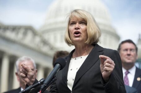 Stablecoins Must Be Backed By Cash, Says Pro Crypto Senator Cynthia Lummis
