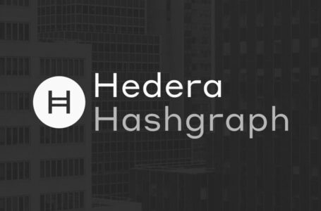 Hedera Hashgraph (HBAR) Review: Everything You Need to Know