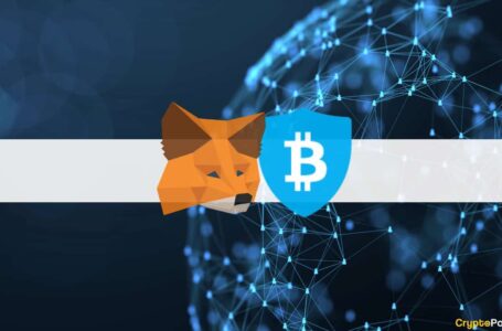 MetaMask Partners With BitGo, Qredo, and Cactus Custody to Enhance Adoption