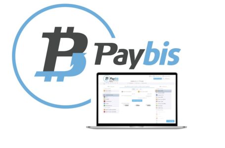 Paybis Exchange Review: Everything You Need to Know
