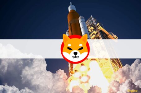 Shiba Inu Breaks ATH, Eyes Top 10 Largest Coins After 850% Monthly ROI