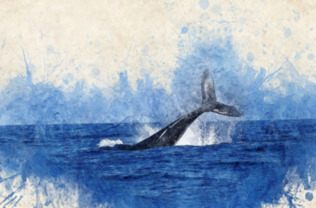 Can whales push Bitcoin, Ethereum to break past previous ATHs