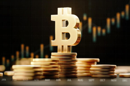 Bitcoin Diamond Hands Reach New Highs, Preview Before Fresh Rally?