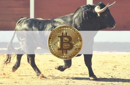 Bitcoin Dominance on the Rise as BTC Eyes $56K (Market Watch)