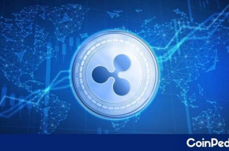 Is This SEC’s New Desperate Attempt to Prove XRP a Security??