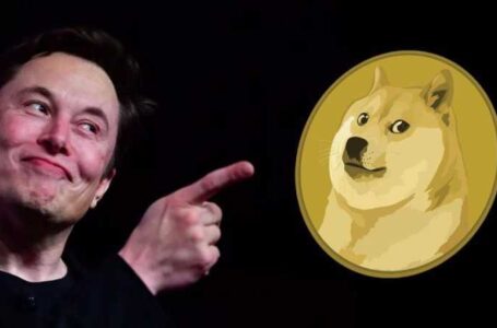 Elon Musk Plans To Become The World’s First Dogecoin Trillionaire