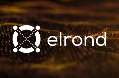 What Is Elrond (EGLD)? Should You Buy?