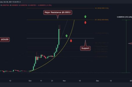 Shiba Inu Price Analysis: SHIB Pulls Back After ATH, But What’s The Next Target?