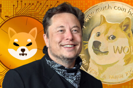 Elon Musk Discusses Important Dogecoin Improvements, Confirms No Investment in Shiba Inu
