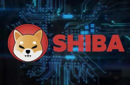 Shiba Inu (SHIB) Breaks 8th Place In Crypto Top 10 With Unprecedented Rally