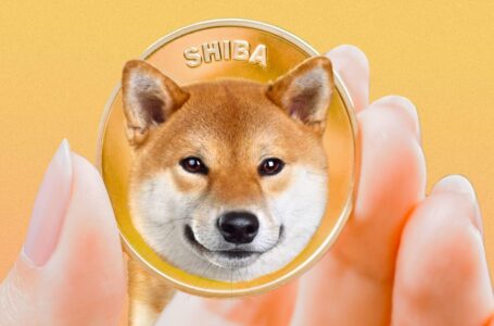 Why Shiba Inu (SHIB) Rallied 266% Following Biggest Dump In Its History