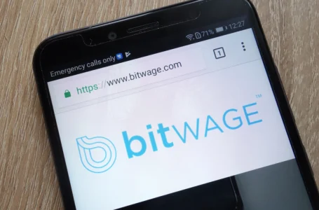Bitwage Raises $1.5 Million in Latest Funding Round