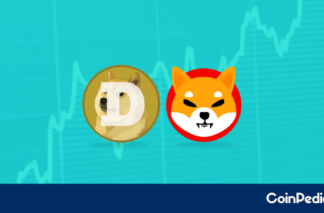 Will Ever Shiba INU Be A Threat To Dogecoin’s Legacy?