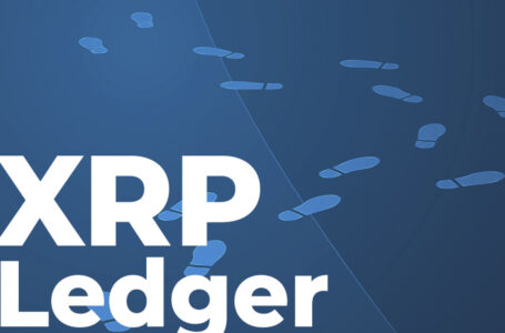 XRP Ledger Is Back on Track After Temporary Halt