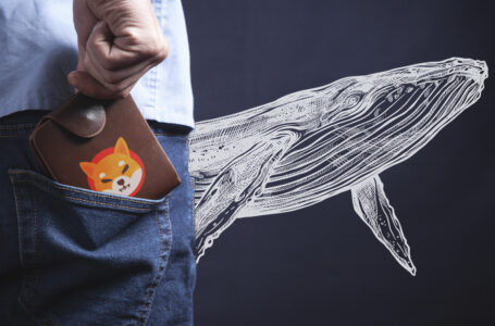 Whale Wallets Holding Billions of SHIB Now Watched by Crypto Sleuths