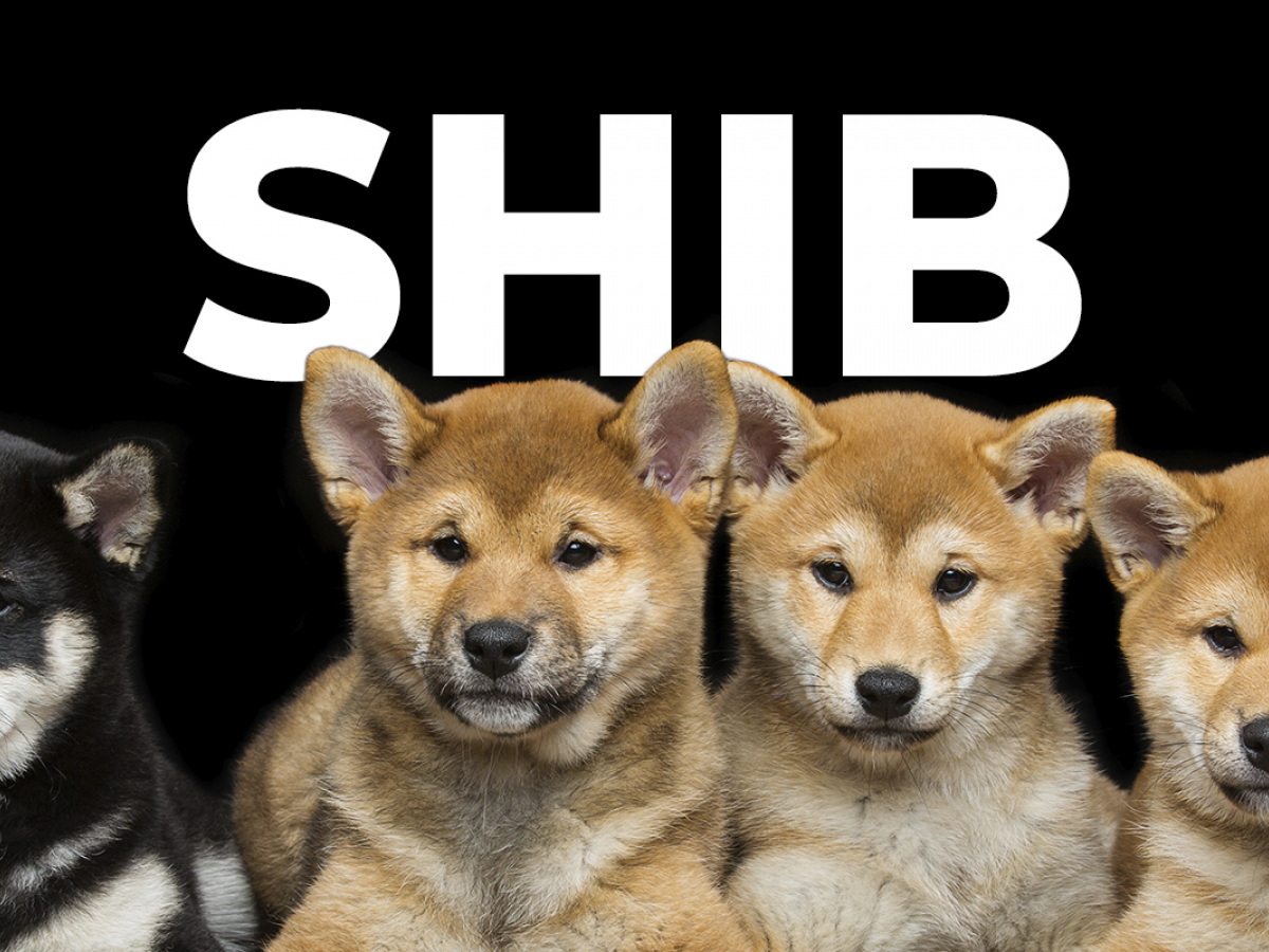 SHIB