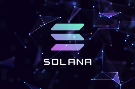 Solana’s Impressive Market Performance Was Followed by Cover-Up of Additional 12 Million Coins in Secret Wallet