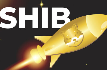 SHIB Enters Top Five Coins by Daily Trading Volume Following 40% Price Surge