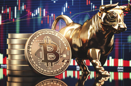 Here’s How RSI Can Predict Bitcoin Bull Run Peak: Analyst