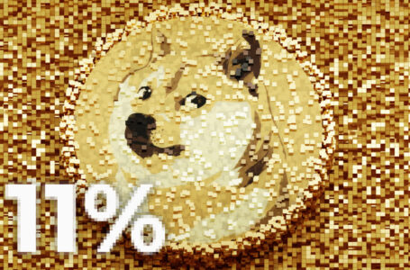 Dogecoin Price Jumps 11% Following Core Update News