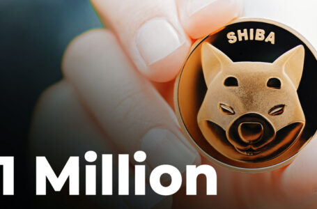 SHIB Is Coming Closer to One Million Holders, Here’s What It Means for Dogecoin Competitor