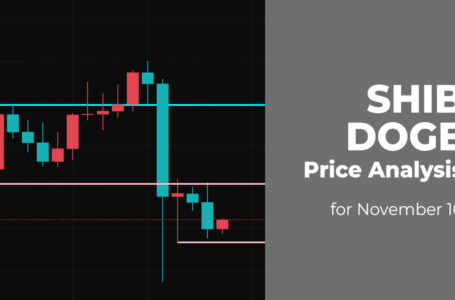 SHIB and DOGE Price Analysis for November 10