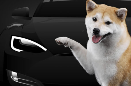 Shiba Inu Compared to Amazon-Backed Tesla Competitor by Early Lyft Investor