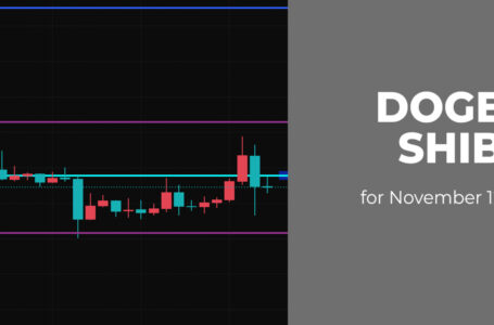 DOGE and SHIB Price Analysis for November 12