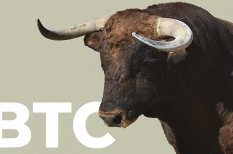 Crypto Analyst Shared One More Simple Indicator for BTC Bull Run Peak