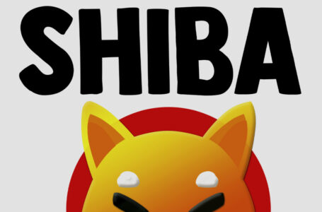 Shiba Inu Becomes Largest ERC-20 Holding Among Top 1,000 ETH Wallets