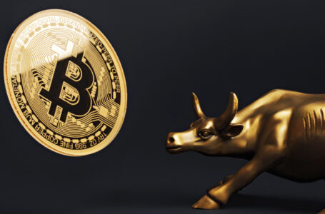 Bitcoin Bulls Are Betting on $100,000-$200,000 According to Options Open Interest