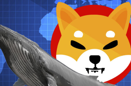 Shiba Inu Dominance Reaches 21% Among Whale-Tier Holders