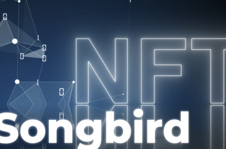 Flare Community NFTs Go Live on Songbird: Details