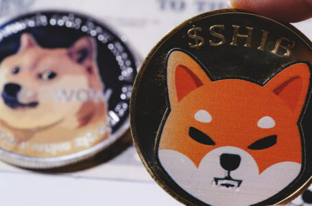 Dogecoin Creator Addresses “Harassing” and “Insulting” Shiba Inu Community