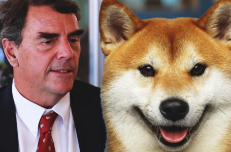 Dogecoin Killer Shiba Inu Listed by Tim Draper-Backed Crypto Exchange