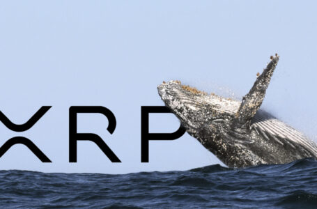XRP Whale Withdraws 10 Million Coins from Exchange
