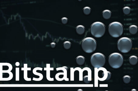 Cardano in the Red Despite Bitstamp Listing