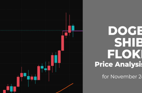 DOGE, SHIB and FLOKI Price Analysis for November 24