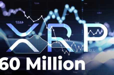 Abnormal XRP Activity: Someone Transferred 60 Million Coins Between Various Exchanges