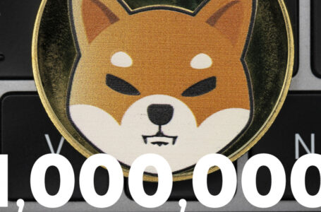 Shiba Inu Finally Reaches 1,000,000 Holders