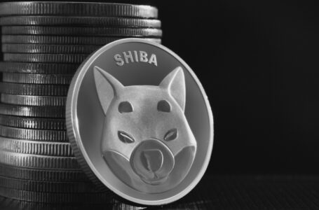 Shiba Inu Listed by Exchange of Former Morgan Stanley Developers