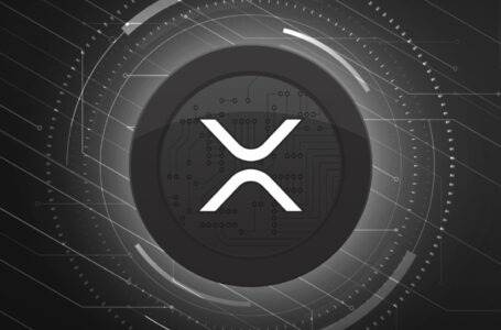 XRP Whale Moved $20 Million Coins Away from Exchange