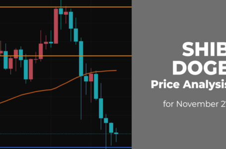 SHIB and DOGE Price Analysis for November 27