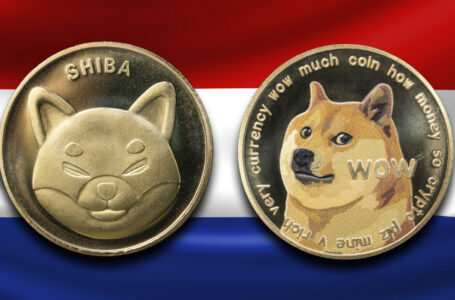 Dutch Millionaire Is Bullish on Shiba Inu and Dogecoin